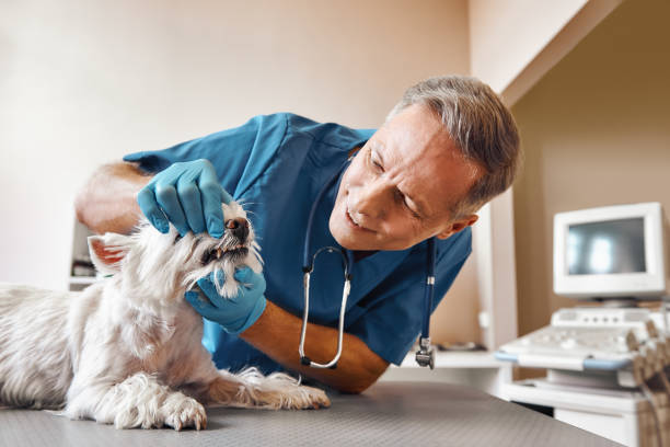 Best Emergency Wisdom Teeth Removal in Richland, GA